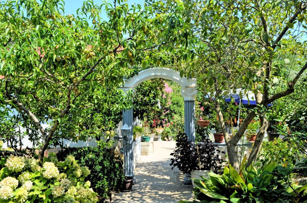 אולסינץ' Riverside Apartments Chiara מראה חיצוני תמונה