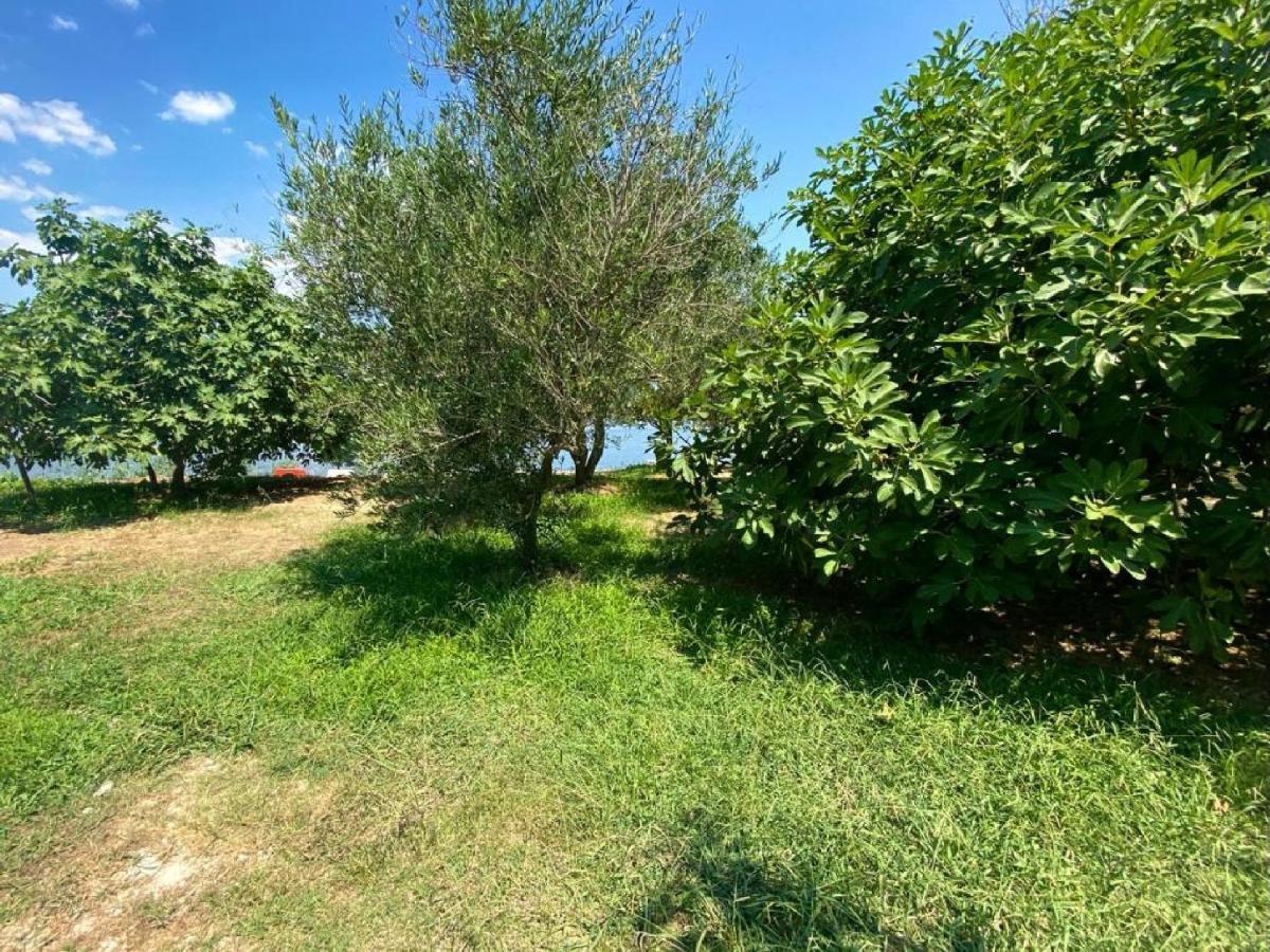 אולסינץ' Riverside Apartments Chiara מראה חיצוני תמונה